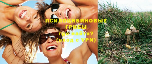 Альфа ПВП Зерноград