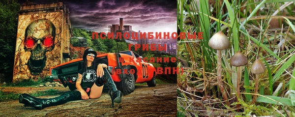 прущая мука Белокуриха