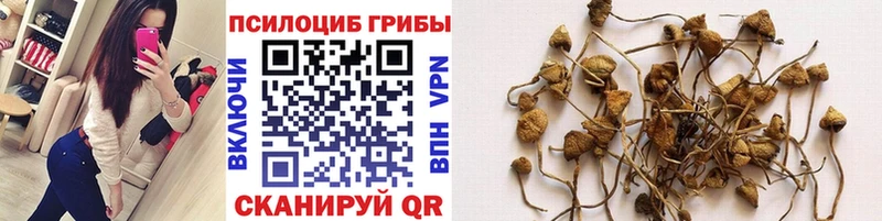 Псилоцибиновые грибы MAGIC MUSHROOMS  Северск 